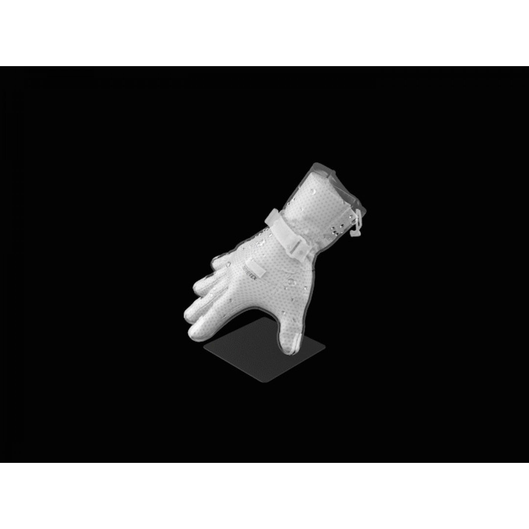 Handschoenen Reusch Alexis Pinturault Gtx + Gore Grip Technology