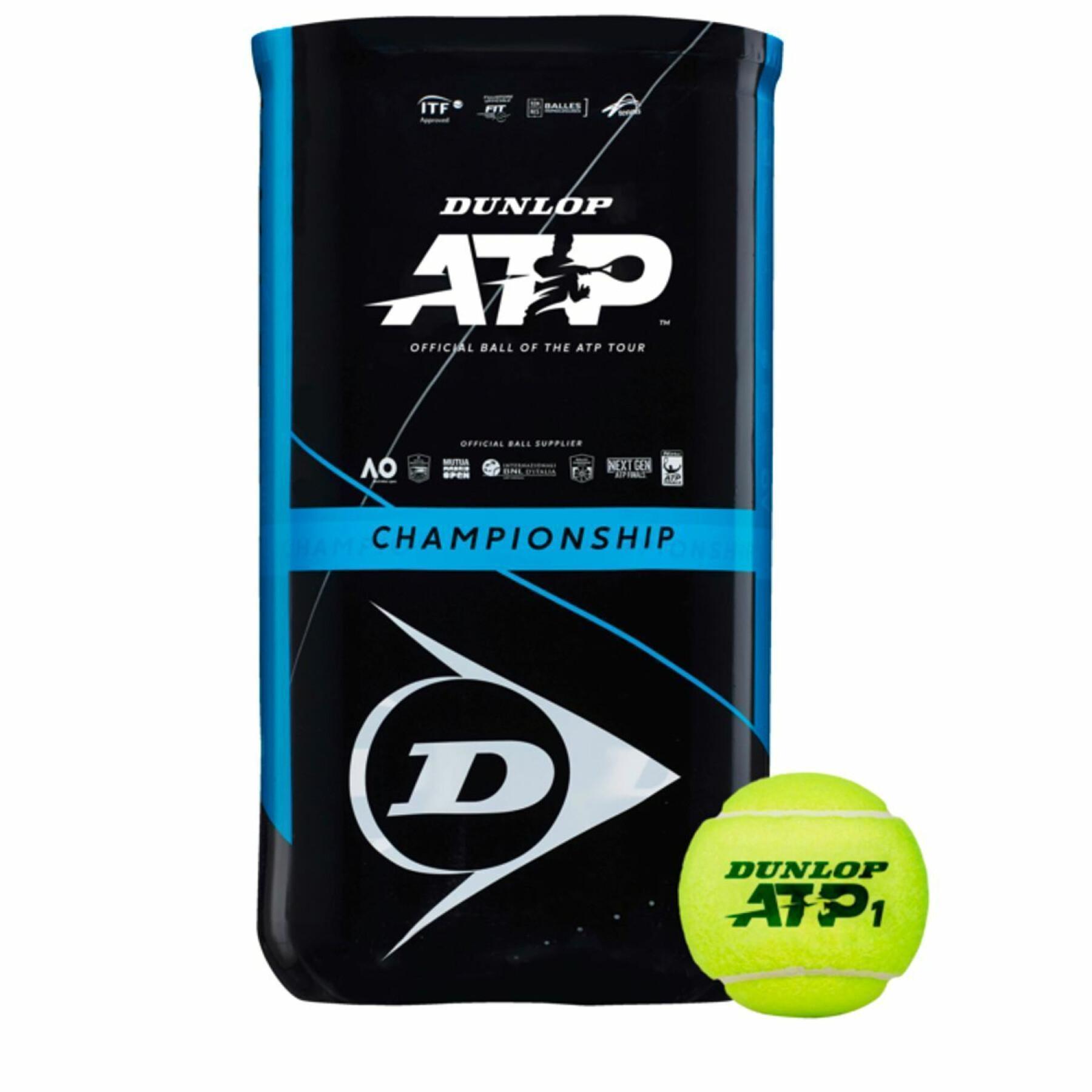 Set van 2 tubes van 4 tennisballen Dunlop atp championship