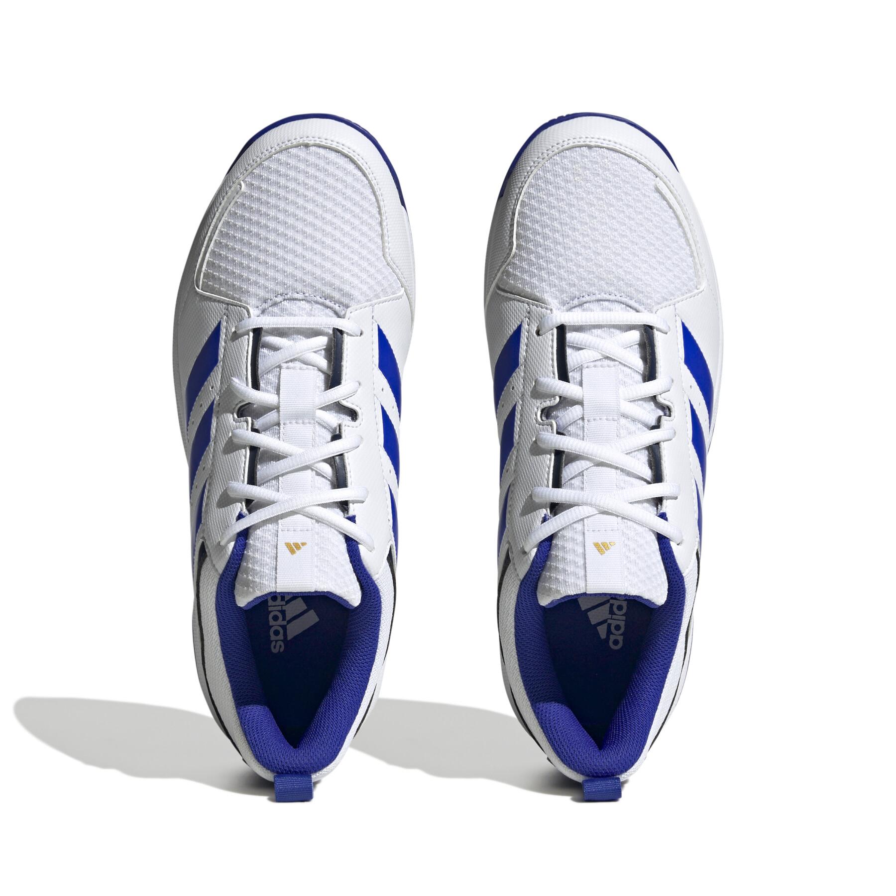 Schoenen indoor adidas Ligra 7