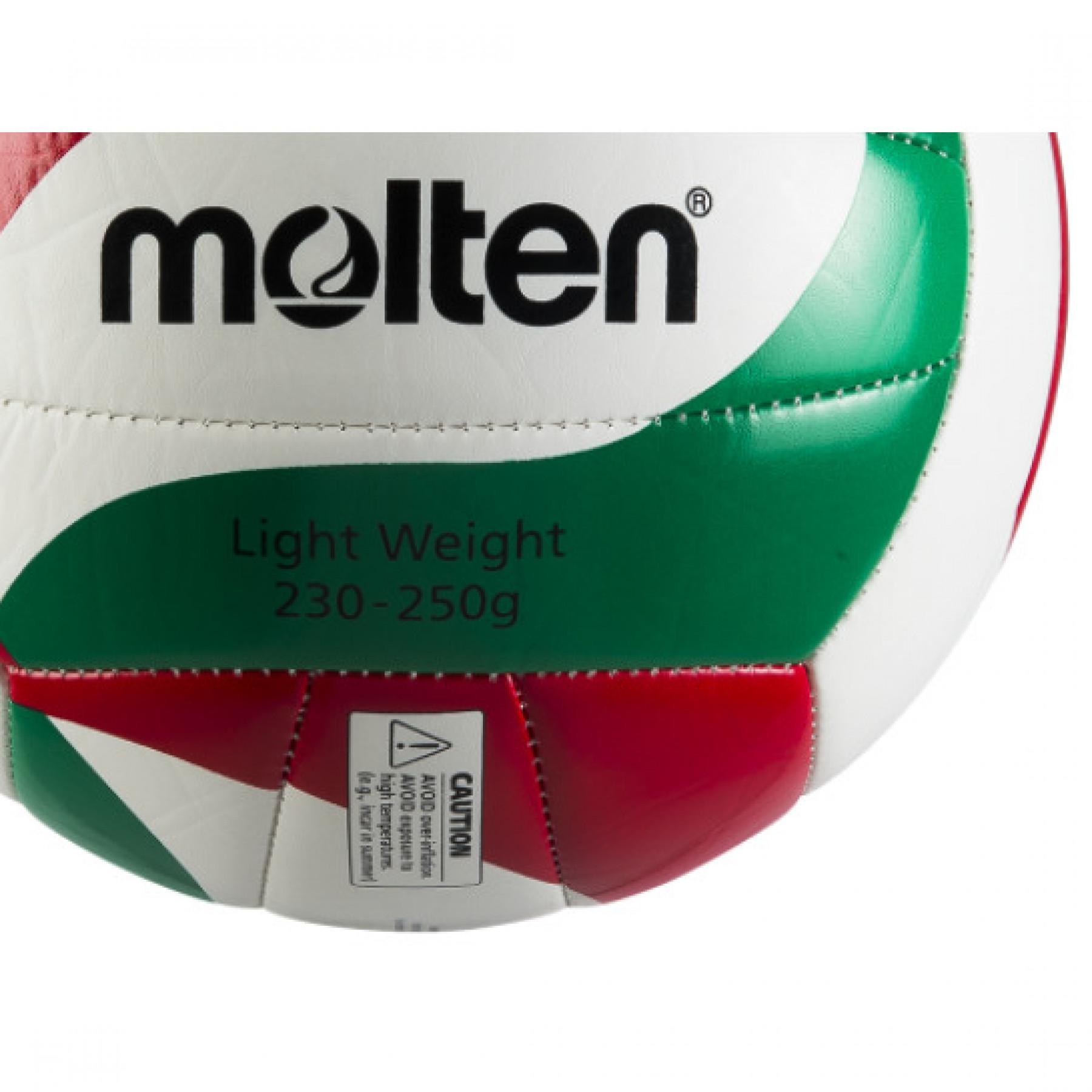 Volleybal Molten V5M2501-L