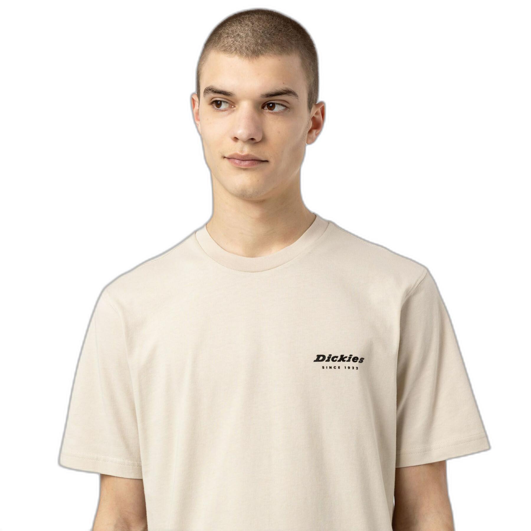 T-shirt met korte mouwen Dickies Artondale Box