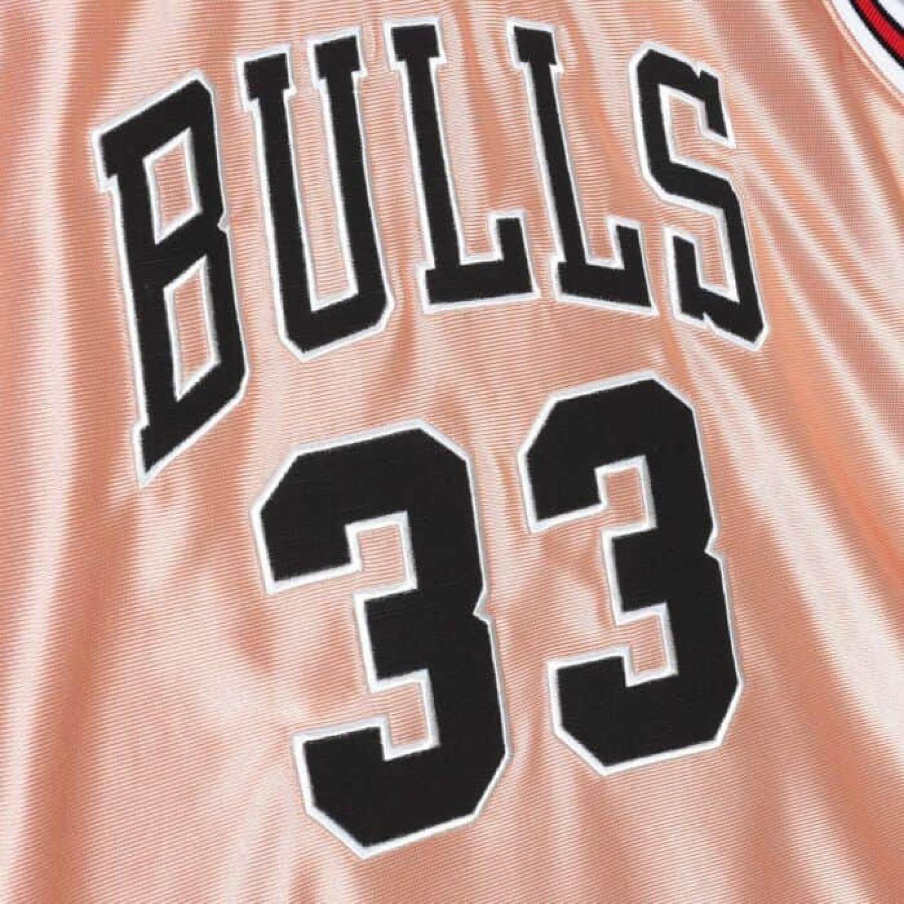 Damestrui Chicago Bulls