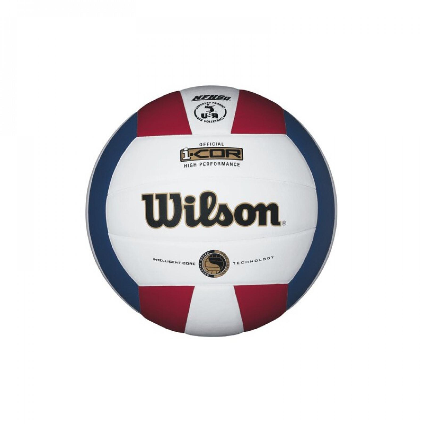Ballon Wilson Icor Perf Deflate