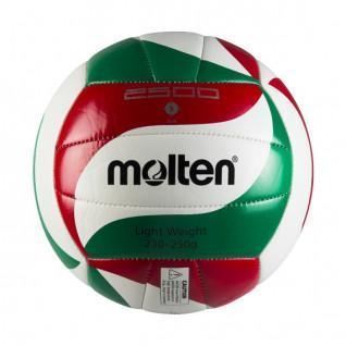 Volleybal Molten V5M2501-L