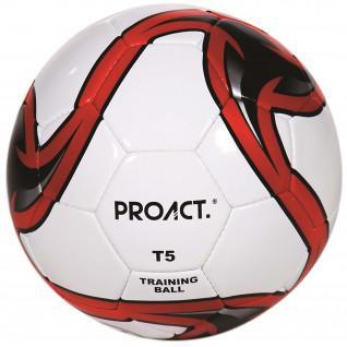Voetbal Proact Challenger