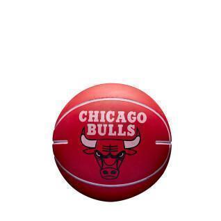 Stuiterende bal nba dribbelen Chicago Bulls