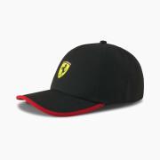 Pet Ferrari Race