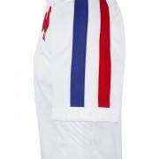 xv replica jersey France