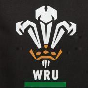 Tas Pays de Galles rugby 2020/21