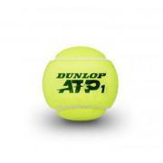 Tennisballen Dunlop ATP 4tin