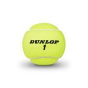 Set van 3 tennisballen Dunlop extra life