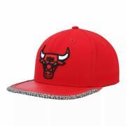 Pet dag 3 Chicago Bulls 2021/22
