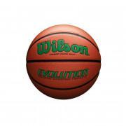 Ballon Wilson Evolution 295 Game ball GR