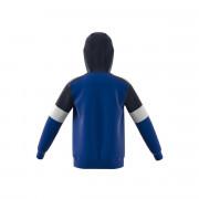 Sweater met capuchon voor kinderen adidas Essentials Colorblock