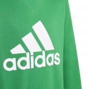 Kinder sweatshirt adidas Essentials Big Logo