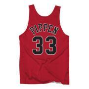 Omkeerbare jersey Chicago Bulls Scottie Pippen 