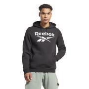 Hooded sweatshirt Reebok Identity Stacked Logo
